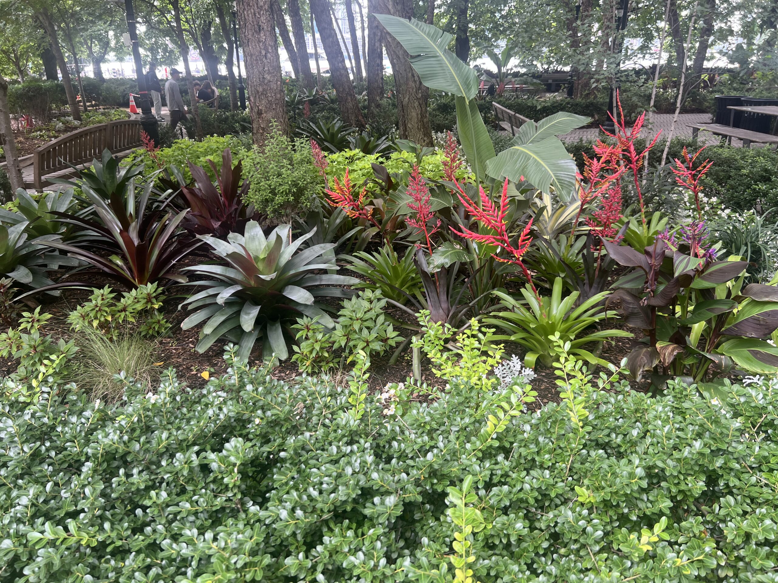 Gardening photos